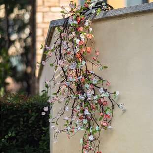 �δ����W����Gֲ���Ļ��ѻ������L�Շ����҃��b�Ʒ�����Ĕz����