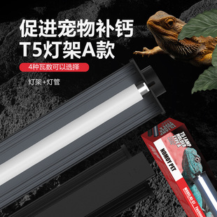 Climbing pet uvb sun back light stand T5 light bar maned lion lizard suit ultraviolet light tortoise light integrated