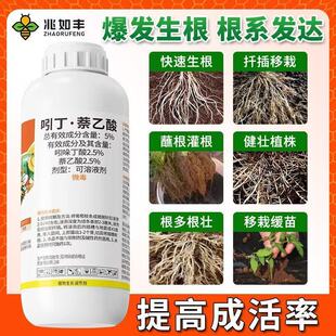 �����S�Ŷ�����������������������Ʒ��������������������l��