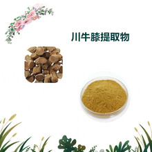 �����R˹���� ��ţϥ��ȡ�� ��ȡ�� ���ɷ� 2kg���� �S�ҹ���