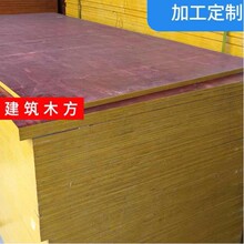 建筑模板佛山厂家多层木工板桥梁覆模板模板多层板建筑桉木单板 