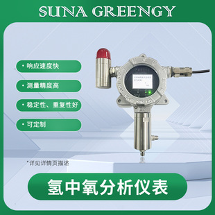 O2 detection by NGT hydrogen oxygen analyzer in the field of electrolytic water hydrogen production