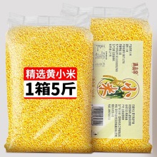 �SС����С�������r����Ŵ���ͺ��r��ʳ��Ŵ��������s�ZС����