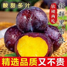 现摘陕西黑布林大李子新鲜酸甜多汁当季孕妇水果黑李子一整箱批发