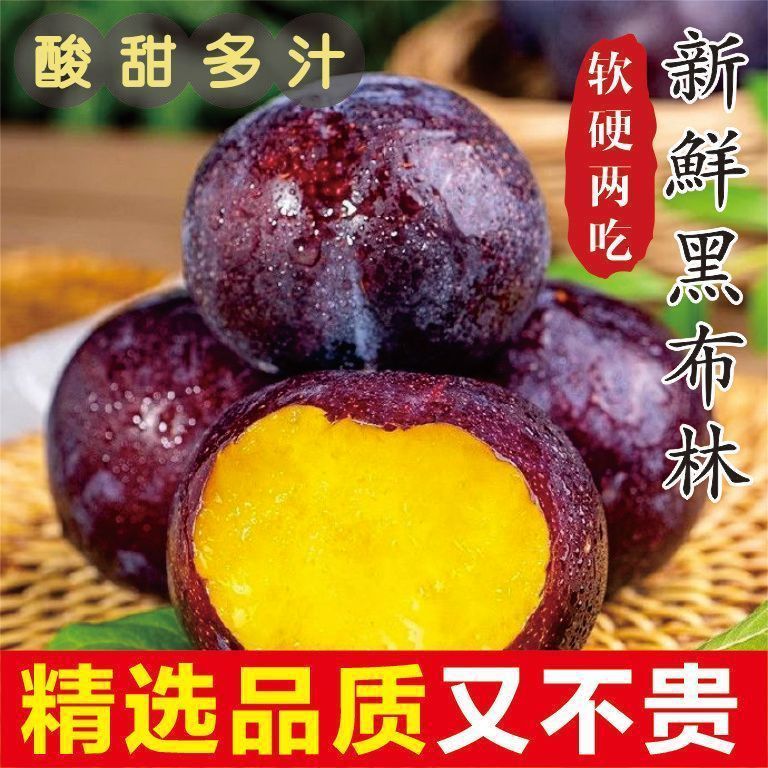 现摘陕西黑布林大李子新鲜酸甜多汁当季孕妇水果黑李子一整箱批发