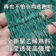 防鸡网养殖网养鸡网渔网围网山鸡网拦鸡网围栏网尼龙网拉网养殖网
