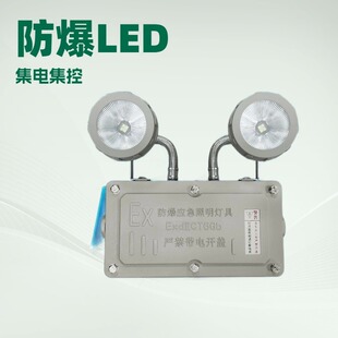 Double-Head Explosion-Proof Lamp, Fire Emergency Intelligent Eps Centralized Power Supply Centralized Control Fire Linkage System Evacuation