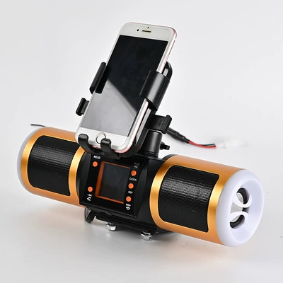 Display, Bluetooth Mp3 Audio, and – Car speaker/subwoofer