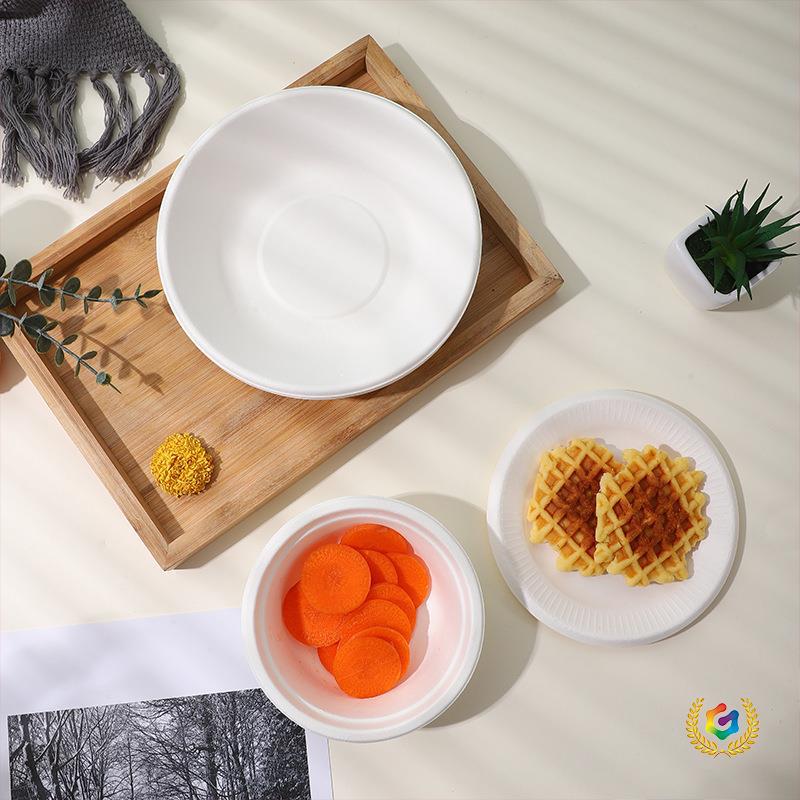 Disposable Takeaway Fast Food Boxes, Biodegradable Tableware, Sugarcane Pulp Food-Grade Paper Bowls and Plates