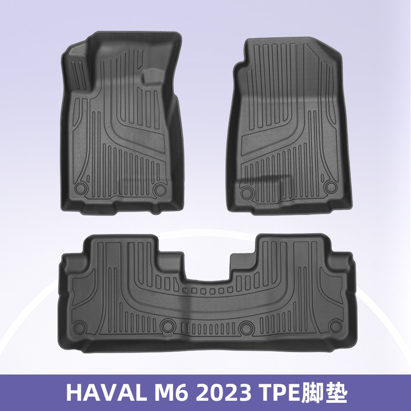 Para Haval M6 2021-2023 3D para todo clima material TPE coche tapete anti-suciedad
