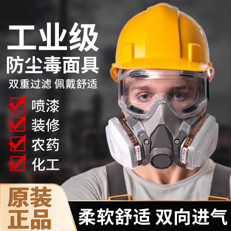 Special full-face protective mask for spray painting and pesticides