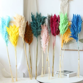 干花;鲜花花艺制品;永生花