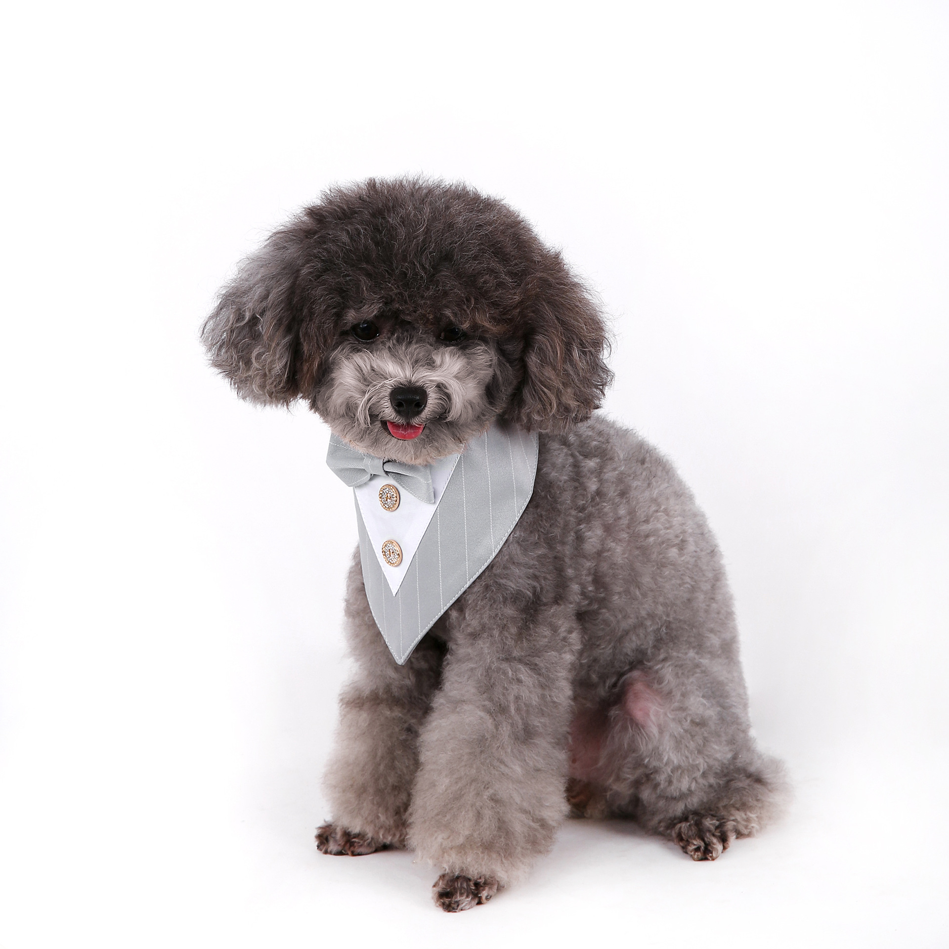 Navidad Año Nuevo Spot transfronterizo boda británica trajes toallas para mascotas bufandas perros velcro toallas para mascotas triángulos