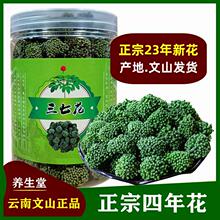 云南花野生功效田七花茶500g散装特产包邮