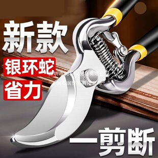��Ʒ�|����֦�����@ˇ��֦��@�ֹ����֦�޻�ʡ��SK5����