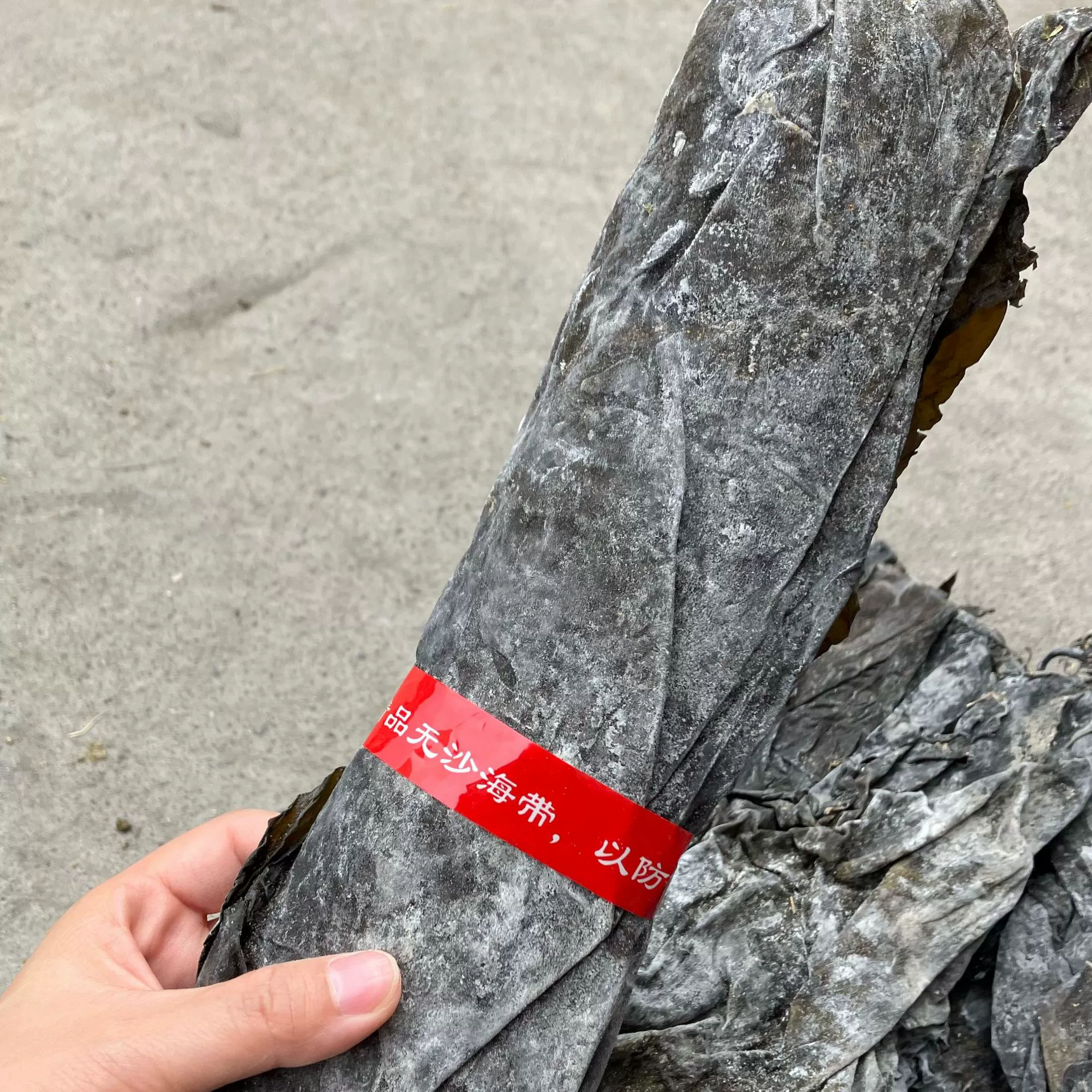 Ведущий ветер и сухое море