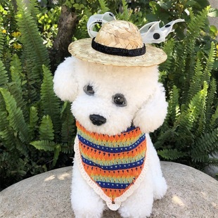 Dog cute straw hat pet photography cute pet outing hat dog outing straw hat pet hand hook triangle towel