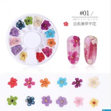 树花 五星花日系美甲干花diy贴画脸妆花瓣妆五瓣花押花厂家直销