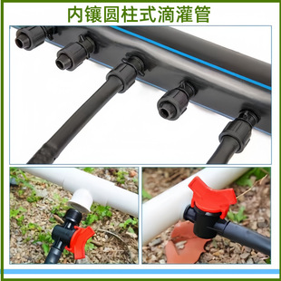 16mm��肈A��ʽ�ι�ܲ�ݮ�ι�����g��20cm-50cm���仨��pe��