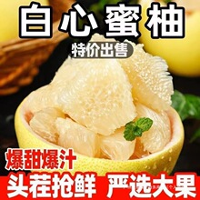 平和琯溪蜜柚白柚白心柚白肉蜜柚白柚子薄皮10斤现货闪电批发供应