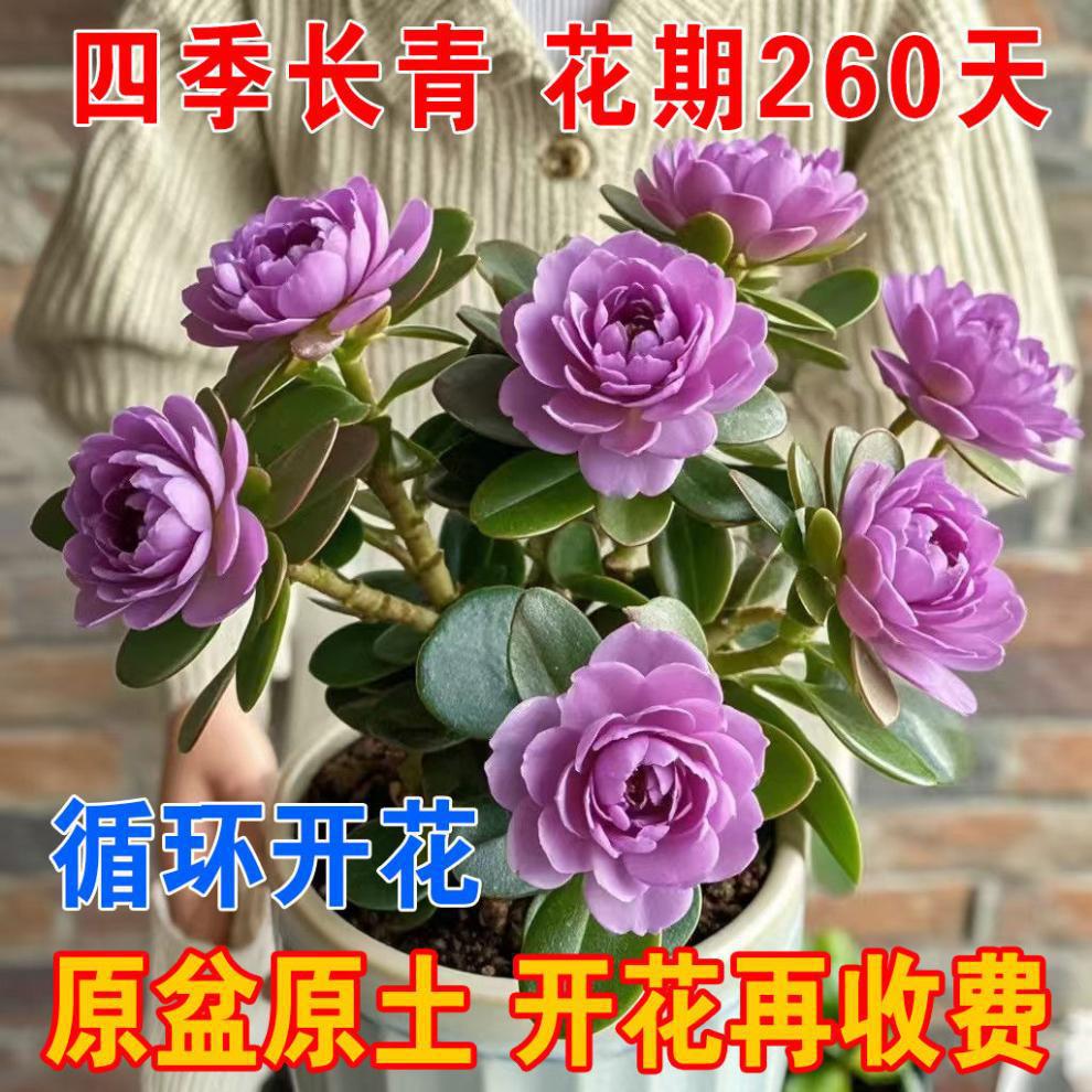 2f0501f2-fad4-405b-a1fd-5d56a8033dcb.jpe