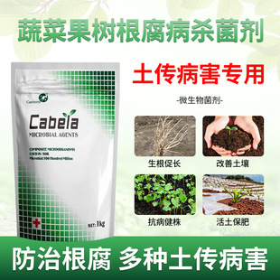 �ݲ�ѿ�ߗU��+����ľù��������΢����������砀��������������