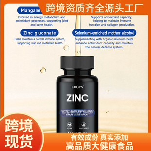 ZINC�\�z��TK�羳���R�d����S���صV���|�������w�I�B�a�䄩���l