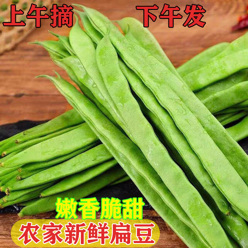 【应季露天】云南扁豆角露天新鲜现摘嫩无筋丝嫩蔬菜青芸宽斤油季