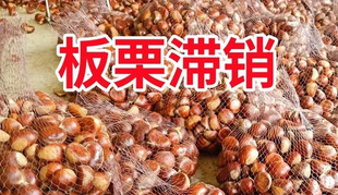 ���r���|�������r�������۴�����ڰ���Ұ���w���������F������