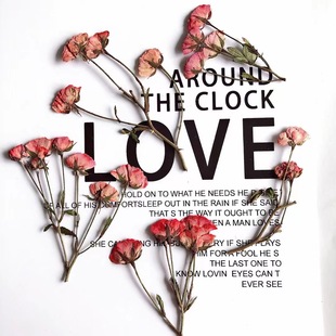 �Nޱ��Сõ��ɻ�Ѻ�����^õ����z�֙C������b��ֹ����ϰ�