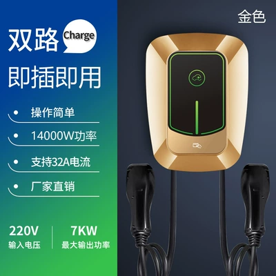 Commercial 4G network APP scan Elektrikli avtomobil şarj cihazları - 14kw-double-gun-plug-and-play-gold