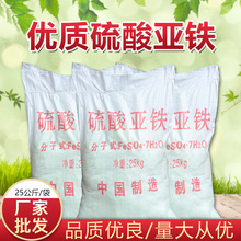 oˮˮ၆FĩwIˮ̎ظwˮСw