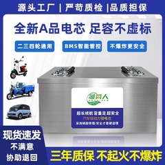 電気自動車 48V リン酸鉄リチウム電池水平テイクアウト三輪車四輪車バッテリー車のバッテリー高容量