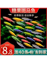 ���R�~�Ꭷ��ˮ�^�p�~С���~���B�����~��ȸ�~����~�����^�V��