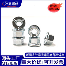 4.8��̼�����͹�c���m������ĸm12�c���_�����o���������ݽzñ