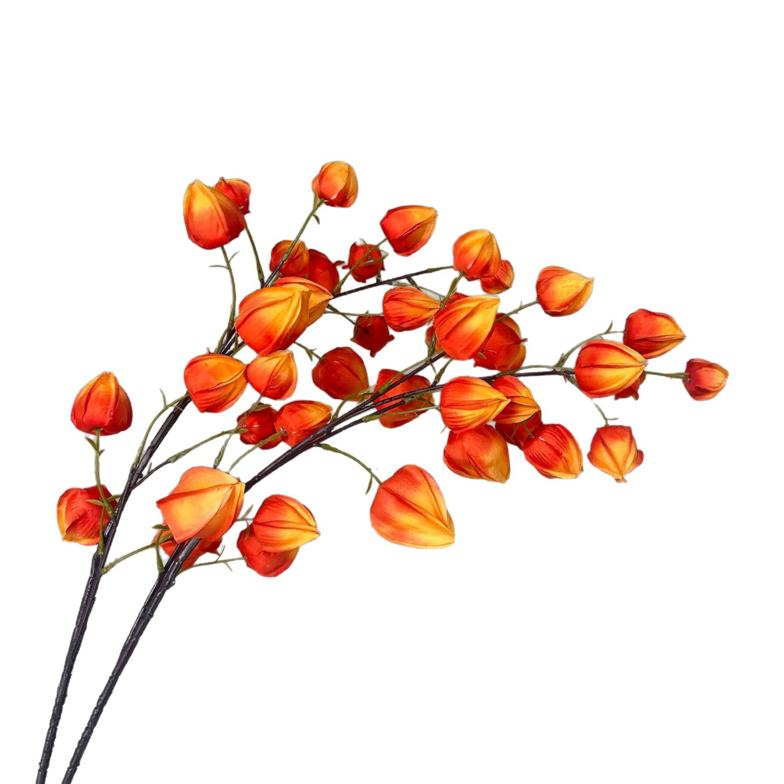 주황색
