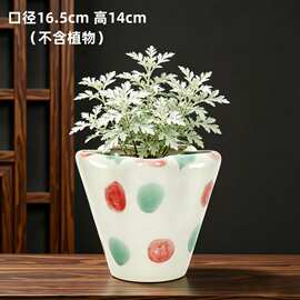 ins风陶瓷花盆家用绿植多肉盆包邮现货大口径花口高颜值花盆