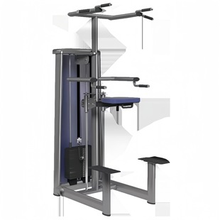 Gym fitness equipment plug-in type auxiliary pull-up parallel bars trainer Chin-Dip Assist