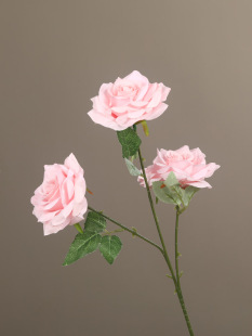 �¿��ɫϵ��c���Ľ�����Y���쾰T̨�����b�·���廨