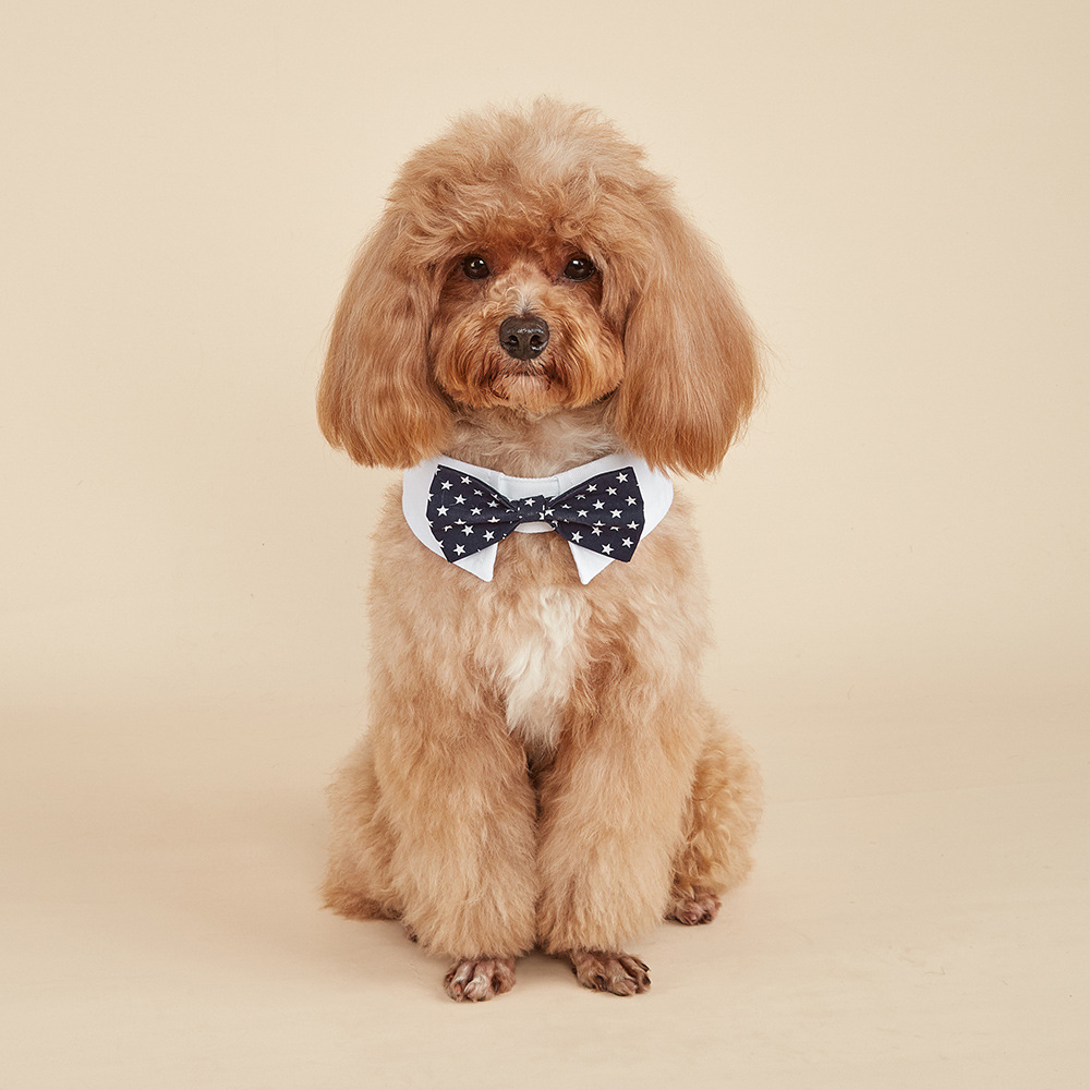 TANPOPO spot transfronterizo nuevos productos pentagonal guapo perro corbata velcro ajustable corbata de mascotas
