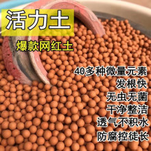 活力营养土盆栽铺面颗粒土透气多元素球土防黑腐易生根活力土