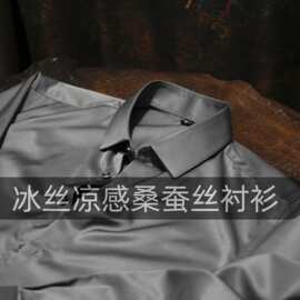 男士桑蚕丝冰丝长袖衬衫男士色秋季时尚休闲男装衬衣上衣服