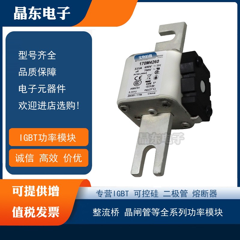 170M4258 170M4259 170M4260 170M4261现货低价直销全新熔断器