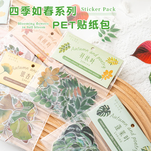 �����~���N�����羳�ļ��紺���~pet��ˮ�b��ز�diy���~�֎��N��