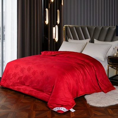 Silk keep warm cotton duvet