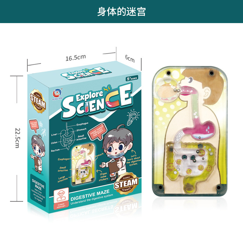 国境を越えたおもちゃ早期教育人間の臓器骨格モデルセット科学と教育小中学生 DIY 組み立て子供のパズル|undefined