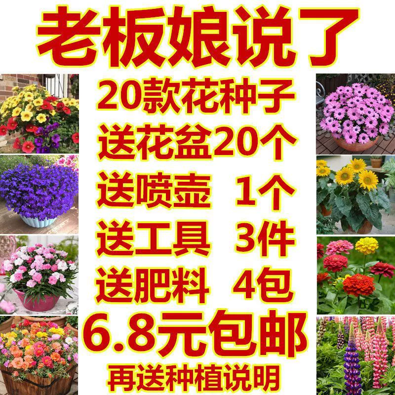 Семена цветов четыре сезона посев специальное оформление сочетание семян цветов легко выжить цветение термостойкий балкон двор