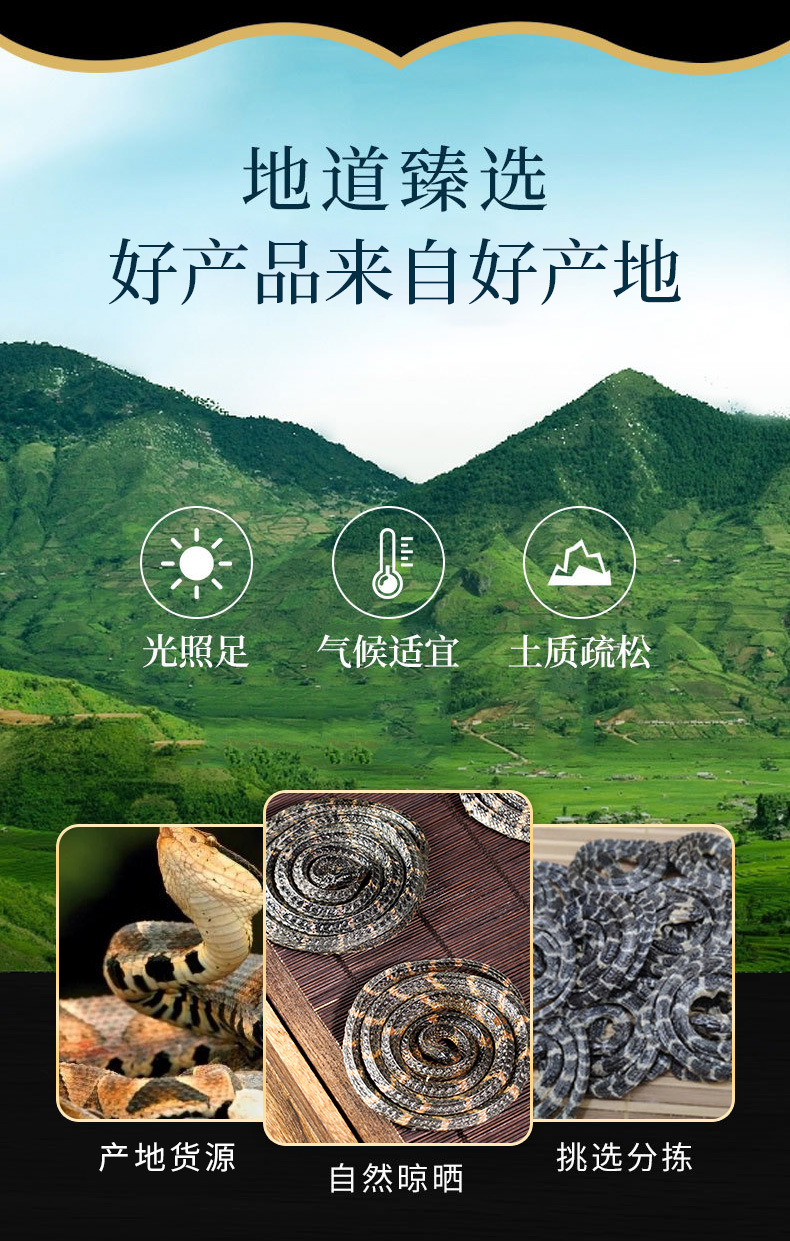Jinqian Baihua She (Bungarus Parvus) — Dried White-Banded Snake for Traditional Herbal Infusions overview