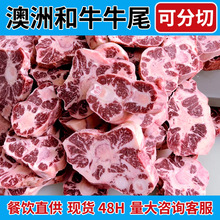 牛尾骨整根牛尾巴原切批发澳洲和牛专用冷冻火锅食材炖汤卤肉牛尾