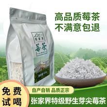 湘西湖南张家界龙须莓茶野生霉茶土特产野生嫩芽芽尖莓茶正宗藤茶